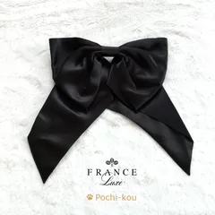 フランス ラックス クララ ボウ バレッタ ヘアピンのサムネイル