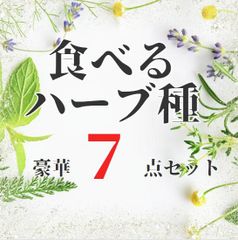 【ハーブの種】食べるハーブの種　７点セット（料理の付け合わせや、ハーブティ、ポプリにも！）