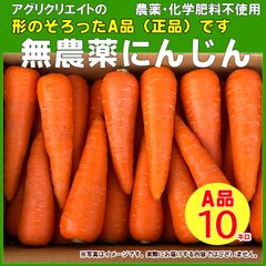【農薬・化学肥料不使用】人参洗い10kg箱(保存袋プレゼント)