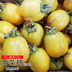 ☆鳥取県産 西条柿 訳あり【渋柿】約5㎏【自家製干し柿作り用】10月下旬11月上旬～収穫次第購入順に出荷(90日以内発送)つるし柿干し柿用柿かき