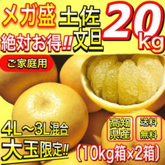 土佐文旦 メガ盛 20kg （10kg×２箱） 大玉4L3L混合  高知産 文旦
