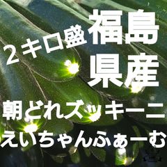 福島県産!朝どれズッキーニ!２キロ盛