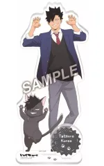 【中古】アクリルスタンド・アクリルパネル 黒尾鉄朗 playingマスコット アクリルスタンドプレート 「ハイキュー!!」