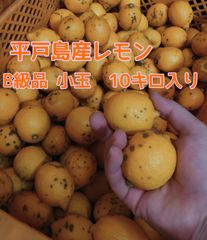 平戸島産レモン　B級品(小玉)10キロ入り　国産レモン