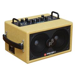 【限定カラー】PJB Double Four Plus Tweed   ベース用コンボアンプ アンプ　フィルジョーンズベース