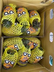 台湾パイン　台農17  1箱6から10玉入り