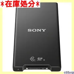 2024年最新】sony usb-c メモリの人気アイテム - メルカリ