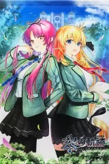 【中古】タペストリー [単品] レン・ブライト＆アニエス・クローデル B2タペストリー 「Switchソフト 英雄伝説 黎の軌跡 for Nintendo Switch WonderGOOオリジナル限定セット」 同梱特典