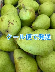 プレコース　20kg 硬い洋梨 洋梨 プレコース 20キロ - メルカリ