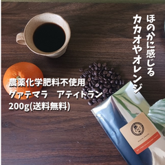 自家焙煎コーヒー豆　◆農薬化学肥料不使用 グァテマラ　アティトラン　(軽め中深煎り)◆