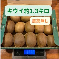 熊本県産キウイ約⒈3キロ🥝農薬無し、肥料無し。品種混合🥝コンパクトBOX