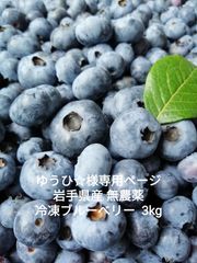 ゆうひ☆様専用】岩手県産 無農薬 冷凍ブルーベリー 3kg - メルカリShops