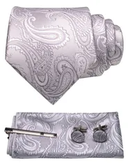 人気商品[JEMYGINS] メンズ ネクタイ ペイズリー柄 ピン カフス ボタン チーフ ビジネス 就活 結婚式 入学式 卒業式 二次会 冠婚葬祭 パーティー 父の日 プレゼント ギフトボックス付き