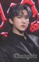 【中古】コレクションカード(男性) Stray Kids/チャンビン(Changbin)/「Stray Kids World Tour ＜ dominATE JAPAN ＞」 アップグレードシート(dominATEシート-樂-)特典フォトカード