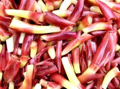 【お買い得】高知県産 茗荷の茎  500g × 5袋入   　★9
