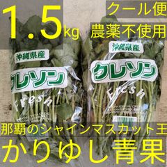 沖縄県産　〈農薬不使用〉最強野菜 クレソン 約1.5kg  【クール便】㉑