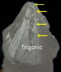 2025年最新】トライゴーニックの人気アイテム - メルカリ