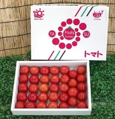 高知産/北海道産 フルーツトマト 中玉トマト 高濃度 産地厳選 規格品 2kgのサムネイル
