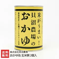 2025年最新】岩船産コシヒカリの人気アイテム - メルカリ