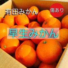 有田みかん　早生　見た目傷あり　サイズ混合　１０キロ