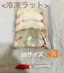 【訳あり】冷凍ラット 35〜50ｇ SSサイズ 40匹セット 訳あり】冷凍ラット 35〜50g SSサイズ 40匹セット 2025年最新】冷凍