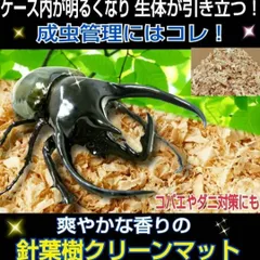 2024年最新】カブトムシ 幼虫 観察の人気アイテム - メルカリ