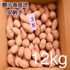【絶品】種子島産  安納芋3S 12kg(箱別)