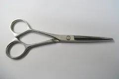 2026年最新】ハヤシシザースの人気アイテム - メルカリ