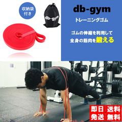 db-gym トレーニングチューブ 懸垂補助 ゴムチューブ トレーニングゴム レジスタンスバンド エクササイズバンド 筋トレ チューブトレーニング トレーニングゴムセット