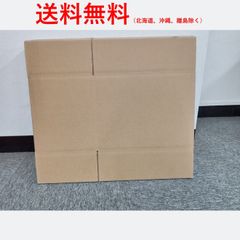 段ボール100サイズ　　10枚セット