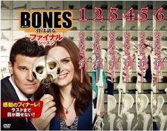 [124782-192]クローザー(46枚セット)シーズン 1、2、3、4、5、6、ファイナル【全巻セット 洋画 中古 DVD】ケース無:: レンタル落ち 124782-192]クローザー(46枚セット)シーズン 1、2、3、4、5、6