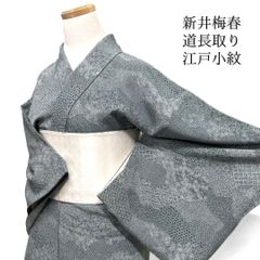 極美品 夏着物 紋紗 正絹 小紋 落ち着いた紫 枝葉文様 盛夏用 小柄な