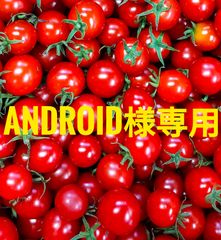 Android様専用　３kg＋100g クール便