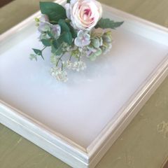 【累計販売数5,800個突破！】標本箱＊桐材＊ドイツ箱＊オイル仕上げ