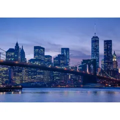 星谷つとむ 水彩画 ブルックリンの少年 【美品】