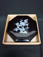 Item thumbnail for item 8aaa6e68-7643-4aa4-9f05-e6cc4933160b