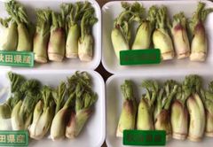 おいしい野菜研究室様