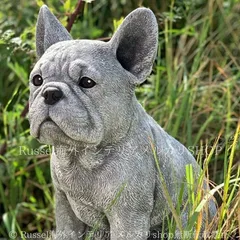 ガーデンオブジェ いぬ 犬 ガーデンオーナメント 樹脂 リアル グレー 彫刻 置物 ドッグ かわいい ガーデニング 雑貨 ガーデン雑貨 ガーデンインテリア ガーデン インテリア 庭の装飾 お洒落 おしゃれ 8-14