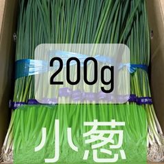 福岡県産　朝倉ネギ　200g