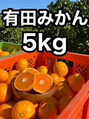 [大特価]有田みかん.5kg!!訳あり品.農家直送