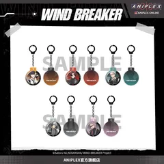 WIND BREAKER ウィンドブレイカー 中国限定   捜査官  アクリル キーホルダー  5種類セット  桜遥    蘇枋隼飛   梅宮一    梶蓮   桐生三輝   公式正規品