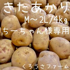 ちーちゃん様専用 じゃがいも きたあかり キタアカリ 4kg - くろうさ