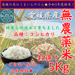 無農薬栽培　令和5年度　新米【玄米・白米選べます】愛媛県産　お米　コシヒカリ　5kg　農薬不使用