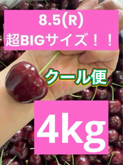 ミーナファーム　プレミアムチェリー　4kg アメリカンチェリー　さくらんぼ