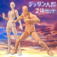 人体模型 超合金 男女セット