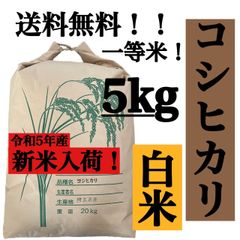 白米　5kg コシヒカリ　新米　埼玉県産　令和5年産　送料無料　米　5キロ