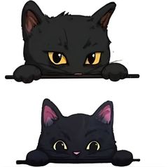 Item thumbnail for item b2266f42-48ed-4c5c-9339-e99c8ee54143