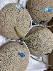 アールスメロン 4Lサイズ 4個 箱込8.5キロ程度 熊本県産