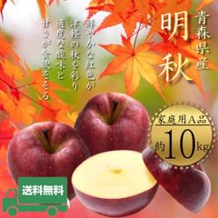 青森県産 ＂ 明秋 (めいしゅう)＂ りんご【ご家庭用A品10kg】【送料無料】【産地直送】リンゴ 林檎
