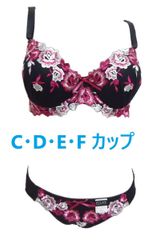 大花柄刺繍ブラジャー＆ショーツ（補正下着）　レッド　　豪華な刺繍が魅力的 カジュアルタイプのブラ＆ショーツ　3/4モールドカップ 　（C　D　Ｅ　Ｆカップ） 新品